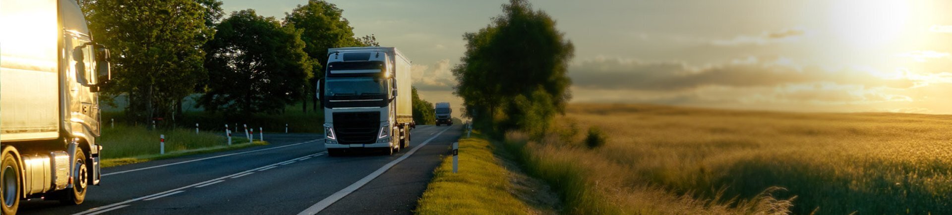 Truck on the road